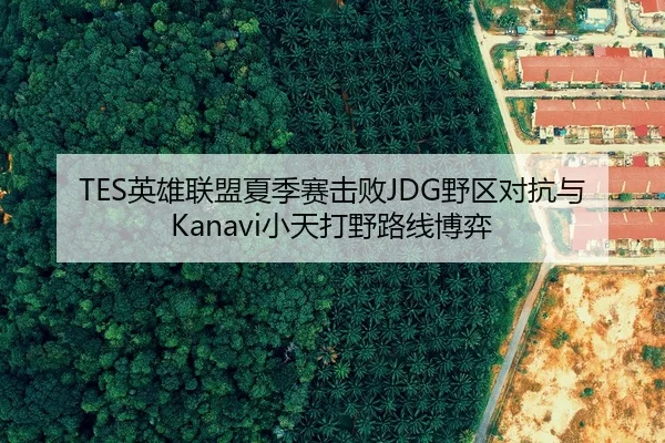 TES英雄联盟夏季赛击败JDG野区对抗与Kanavi小天打野路线博弈