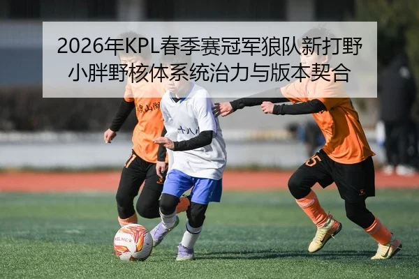 2026年KPL春季赛冠军狼队新打野小胖野核体系统治力与版本契合