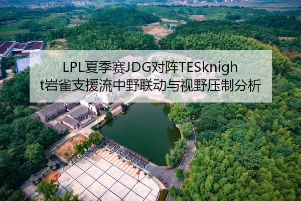 LPL夏季赛JDG对阵TESknight岩雀支援流中野联动与视野压制分析